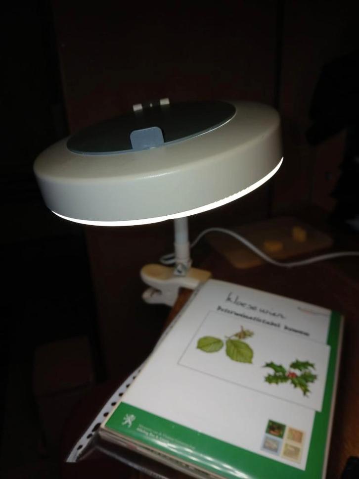 led loep lamp, Hobby en Vrije tijd, Vergrootglazen, Loepen en Loeplampen, Gebruikt, Loeplamp, Ophalen of Verzenden