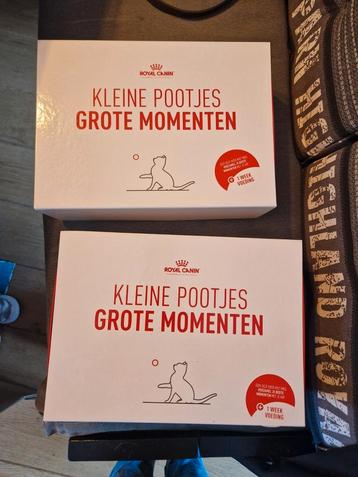 Kitten brokjes, box  beschikbaar voor biedingen
