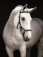 Rambo Micklem Deluxe Competition Bridle, Cob, Full, X-Full, Dieren en Toebehoren, Nieuw, Ophalen of Verzenden