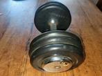 Dumbell lifemaxx 1 x 16 kg, Sport en Fitness, Fitnessmaterialen, Ophalen, Dumbbell