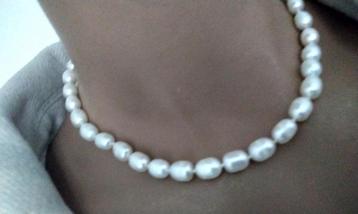 Ketting Authentieke Parels AAA KWALITEIT maar prijsje  beschikbaar voor biedingen