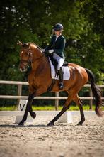 Juuls emerald green maat 34 zgan wedstrijdjasje, Dieren en Toebehoren, Paardrijkleding, Ophalen of Verzenden, Zo goed als nieuw