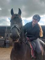 Friese ruin mag voor een klein prijsje weg, Dieren en Toebehoren, Paarden, B, Gechipt, Ruin, 3 tot 6 jaar