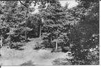 Ommen In de Wolfskuil., Verzamelen, Ansichtkaarten | Nederland, Ophalen of Verzenden, 1960 tot 1980, Ongelopen, Overijssel