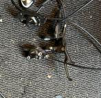 Shimano remmen, Fietsen en Brommers, Fietsonderdelen, Ophalen of Verzenden, Zo goed als nieuw, Racefiets