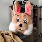mascotte pak paashaas, Ophalen of Verzenden, Gebruikt