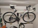 Wilier Triestina (maat L), Ophalen, Carbon, Meer dan 20 versnellingen, Overige merken