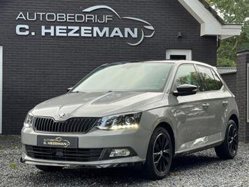 Skoda Fabia 1.2 TSI Monte Carlo Nardo Grey UNIEK PANORAMADAK beschikbaar voor biedingen
