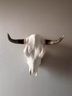 Buffel Kop - Mexico, Ophalen, Gebruikt