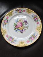 Oude, Rosenthal porselein wandbord., Ophalen of Verzenden