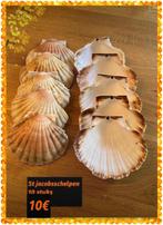 St jacoschelpen decoratie, Hobby en Vrije tijd, Verzenden, Zo goed als nieuw, Materiaal
