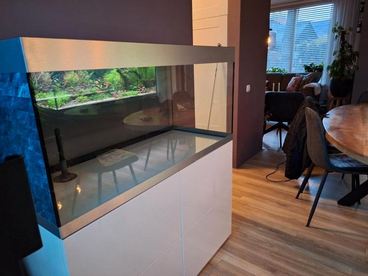 Tekoop oase highline 300, Dieren en Toebehoren, Vissen | Aquaria en Toebehoren, Zo goed als nieuw, Leeg aquarium, Ophalen