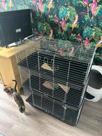 Hok of kooi voor cavia, konijn of knaagdier, 3 verdiepingen, Ophalen, Zo goed als nieuw, 90 cm of meer, Konijn