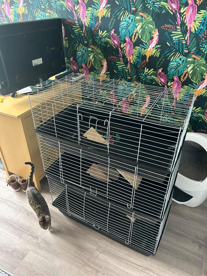 Hok of kooi voor cavia, konijn of knaagdier, 3 verdiepingen, Dieren en Toebehoren, Knaagdieren en Konijnen | Hokken en Kooien
