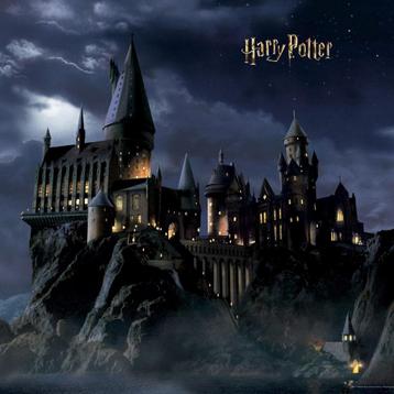 Harry Potter vlies behang Hogwarts Zweinstein * Ook op maat! beschikbaar voor biedingen