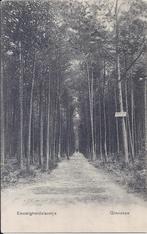 Ginneken Eeuwigheidslaantje Oude Ansichtkaart ( 8491 ), Ophalen of Verzenden, 1940 tot 1960, Ongelopen, Noord-Brabant