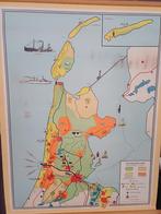 Schoolplaat, Ophalen of Verzenden, Natuur en Biologie