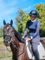 Goudeerlijke en bloedmooie D-pony merrie 3.5jr, Dieren en Toebehoren, Pony's, Merrie, Gechipt, Zadelmak, 3 tot 6 jaar