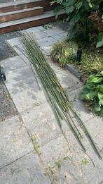 Bamboestokken tot 4m lang, Ophalen, 250 cm of meer, Palen