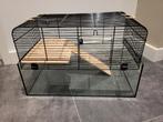 Hamsterkooi met toebehoren, Kooi, Gebruikt, Minder dan 75 cm, Hamster