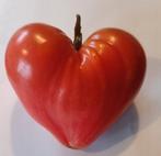 Allerlei tomaten zaden, Ophalen of Verzenden, Voorjaar, Volle zon, Zaad