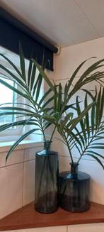 2 mooie fles/vazen, Ophalen of Verzenden, Halfschaduw, Minder dan 100 cm