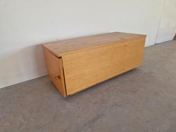 Vintage opberg kist speelgoed kist beschikbaar voor biedingen