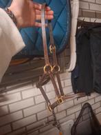 Halster maat mini/ veulen, Ophalen of Verzenden