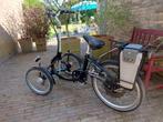 VAN RAAM VIKTORIA ELECTRISCHE DRIE WIELER 3WIELER, Fietsen en Brommers, Fietsen | Driewielfietsen, Ophalen, Zo goed als nieuw