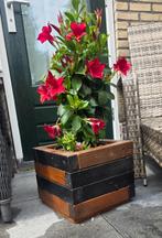 Mooie Bloembak houten, Tuin en Terras, Bloembakken en Plantenbakken, Ophalen, Minder dan 60 cm, Vierkant, Nieuw