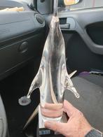 Glazen Dolfijn Ornament, Ophalen of Verzenden