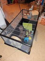 Savic hamster/caviakooi plaza 120, Dieren en Toebehoren, Minder dan 60 cm, Kooi, Minder dan 75 cm, Ophalen of Verzenden
