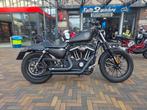 Harley Davidson Sporster 883 Iron - 2014 - ABS, Gildenplein12, 2 cilinders, Motorrijbewijs A, Bedrijf