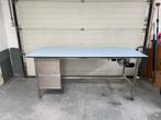 Elektrische RVS werktafel met Trespa werkblad, Topstaat!!, Ophalen, Gebruikt, 170 cm of meer