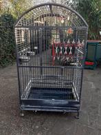 Papegaaienkooi, Dieren en Toebehoren, Ophalen of Verzenden, Metaal, Vogelkooi