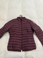 Parajumpers Jas, Maat 38/40 (M), Paars, Zo goed als nieuw, Parajumpers
