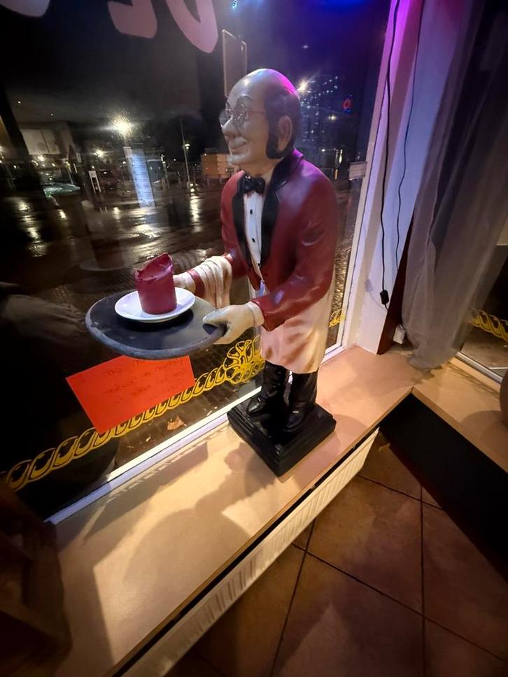 Engelse butler, Dieren en Toebehoren, Reptielen en Amfibieën | Toebehoren, Zo goed als nieuw, Ophalen