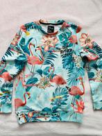 Trui Flamingo The Future is Ours Maat 14 | 158-164 Als nieuw, Jongen of Meisje, Trui of Vest, Ophalen of Verzenden, Zo goed als nieuw