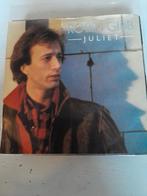 Robin gibb 7inch julet, Cd's en Dvd's, Ophalen of Verzenden, Zo goed als nieuw, Pop