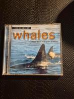 The sound of whales, Cd's en Dvd's, Ophalen of Verzenden, Zo goed als nieuw