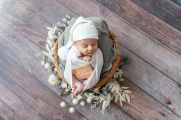 Newborn shoot 250 euro