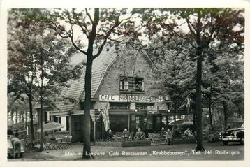 (701-179-049) Rijsbergen Krabbebossen beschikbaar voor biedingen
