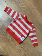 Noppies trui maat 56, Ophalen of Verzenden, Zo goed als nieuw, Jongetje of Meisje, Truitje of Vestje