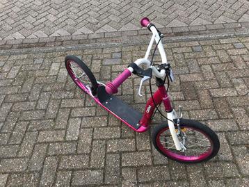 Mooie Corvino step beschikbaar voor biedingen