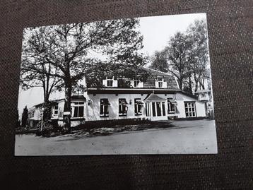 Wellerlooi, gem Bergen, De Hamert beschikbaar voor biedingen