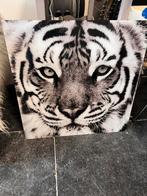 Schilderij plexiglas, Ophalen, Zo goed als nieuw, Schilderij, 50 tot 75 cm