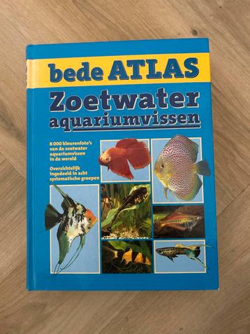 Bede Atlas Zoetwater Aquariumvissen beschikbaar voor biedingen