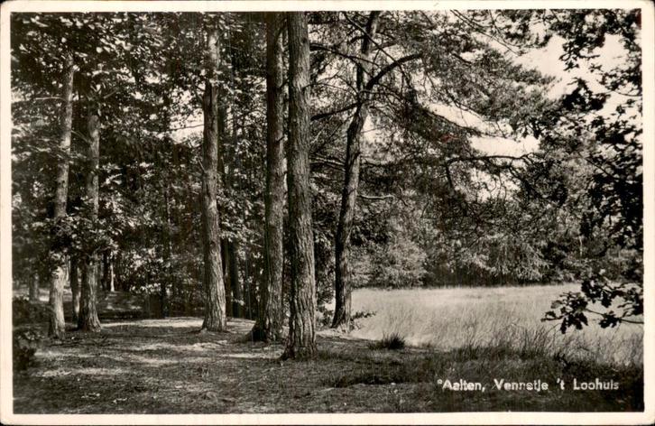 Aalten - Vennetje - t Loohuis, Verzamelen, Ansichtkaarten | Nederland, Gelopen, Gelderland, 1940 tot 1960, Ophalen of Verzenden