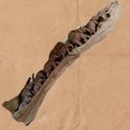 Houten Olifanten Kunstwerk uit Thailand - 1.90m, Ophalen