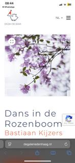 Plexiglas schilderij/ kunststuk van  Bastiaan Kijzers, Ophalen